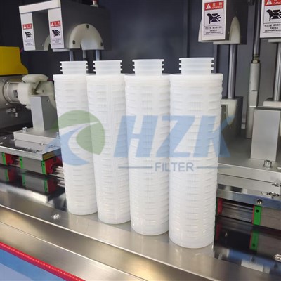 PFA Perfluorinated Filter Element PFA Perfluorinated Filter Element